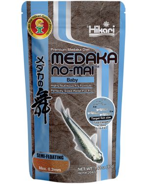 Hikari Medaka Baby