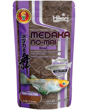Hikari Medaka Breed