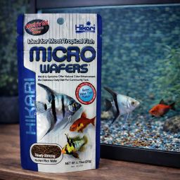 Hikari Micro Wafers 1