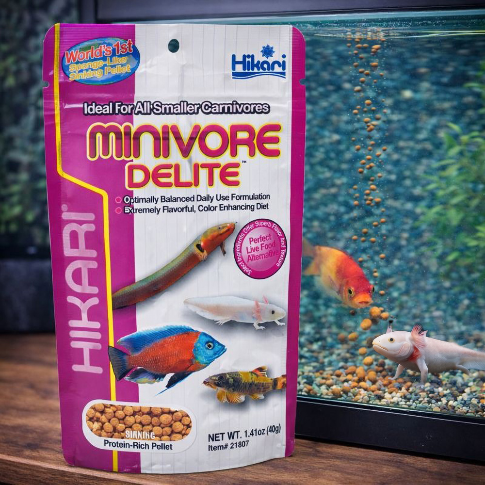 Hikari Minivore Delite 1