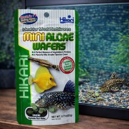 Hikari mini algae wafers 1