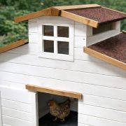 Kippenhok Yandan Scandic Wit 2