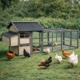 Kippenhok Zivo Cottage Grijs 10
