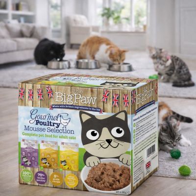 Little Big Paw Gourmet Multipack Poultry Mousse