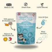 Little Big Paw Gourmet Salmon mousse for cats 1