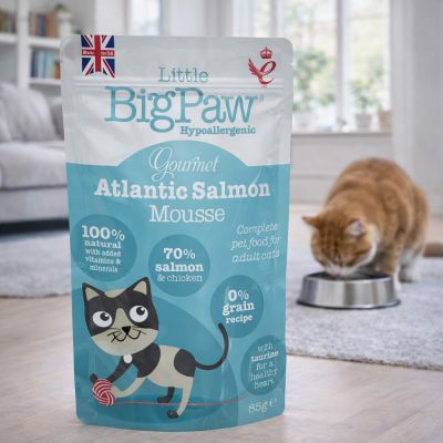 Little Big Paw Gourmet Salmon Mousse for Cats