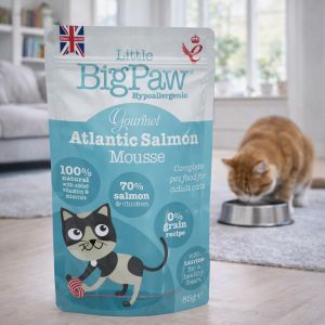 Little Big Paw Gourmet Salmon Mousse for Cats