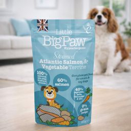 Little Big Paw Salmon with vegetables 2