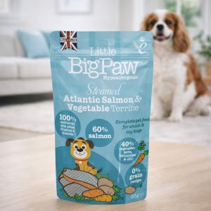 Little Big Paw Salmon with Vegetables