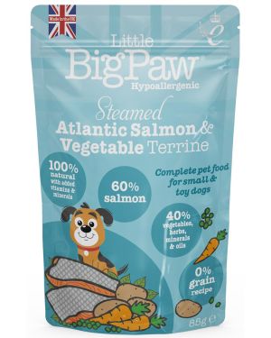 Little Big Paw Salmon with Vegetables
