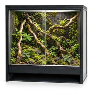 Mini Ecosysteem Bioactive