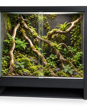 Mini Ecosysteem Bioactive