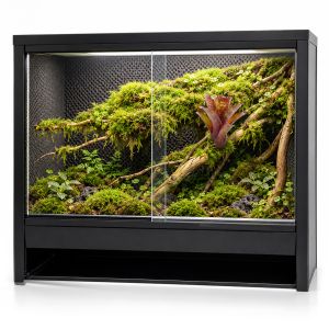 Mini Ecosysteem Canopy