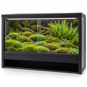 Mini Ecosysteem Mossarium