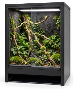 Mini Ecosysteem Rainforest