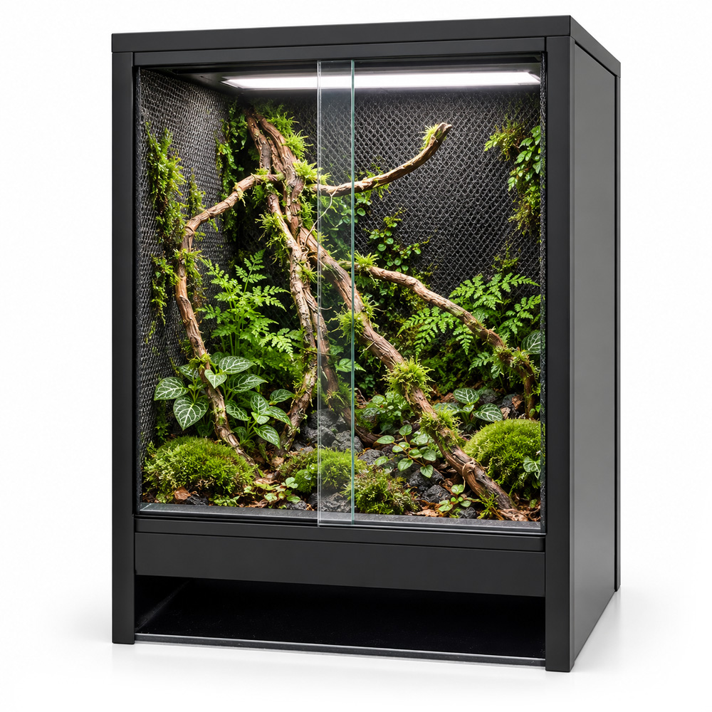 Mini Ecosysteem Rainforest