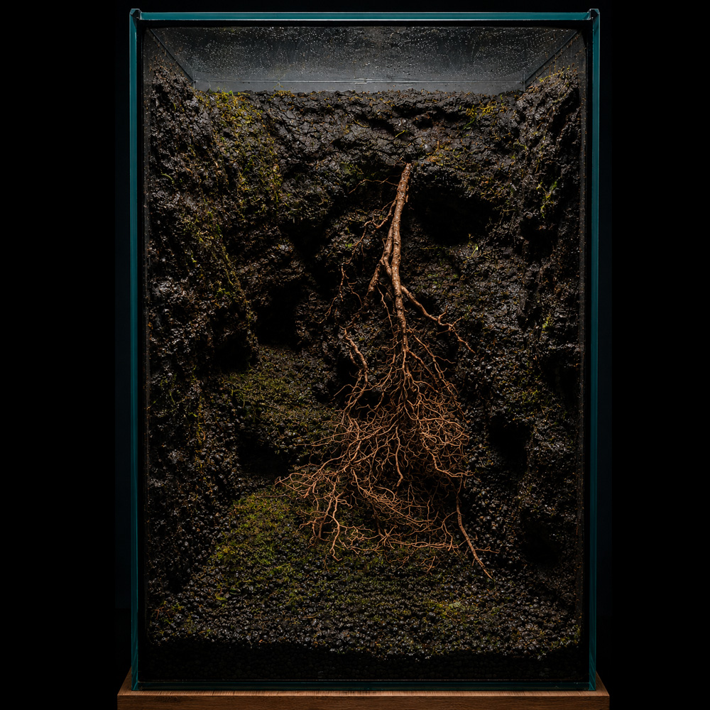 Moss mix 5
