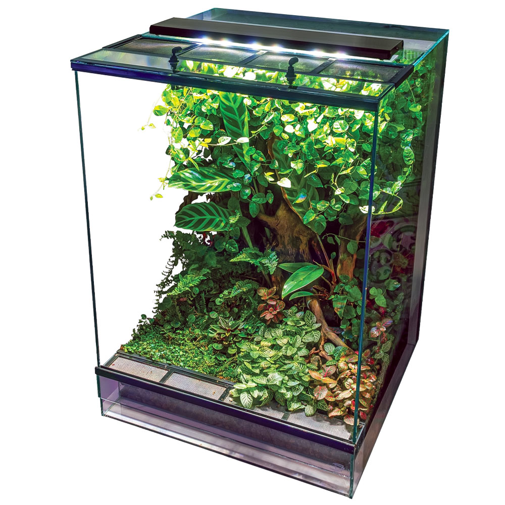 PR2.Q terrarium