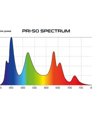 Skylight PRI-55 Intense Set