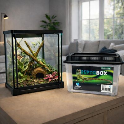 Repto Box