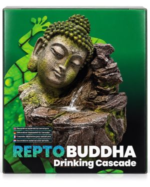 Repto Buddha Drinking Cascade