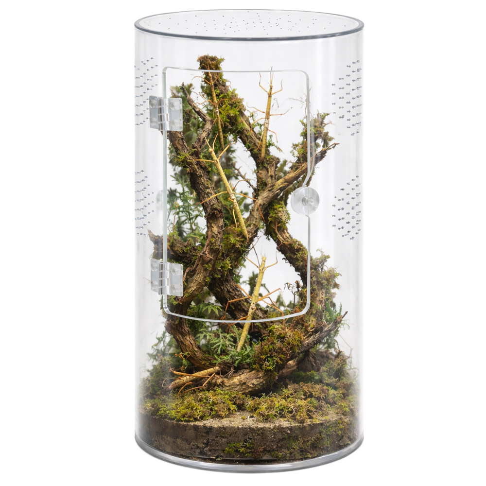 Repto Terra Clear Cilinder 4