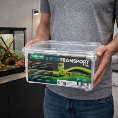 Repto Transport Box