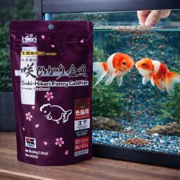 SAKI FANCY GOLDFISH COLOR 01