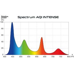 AQI Intense H