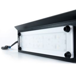 Terrarium lampen