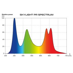 Skylight PR