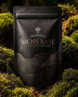 ShroomRoom MossBase