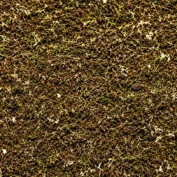 ShroomRoom MossMix 1