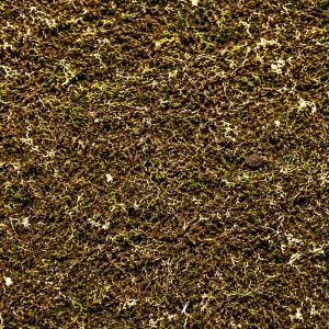 ShroomRoom MossMix