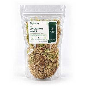 Spaghnum moss