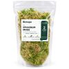 Sphagnum mos