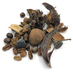 Terrarium bodembedekking pakket Large