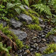 Terrascape Deep Jungle Contrast Set 2