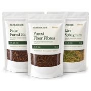 Terrascape Forest Floor Set