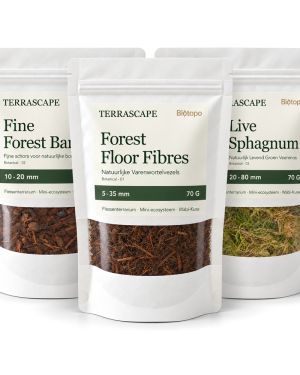 Terrascape Forest Floor Set