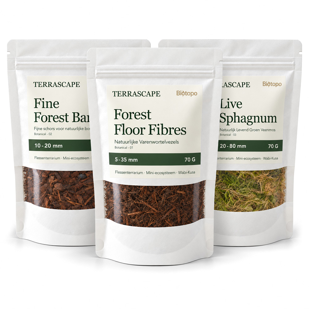 Terrascape Forest Floor Set