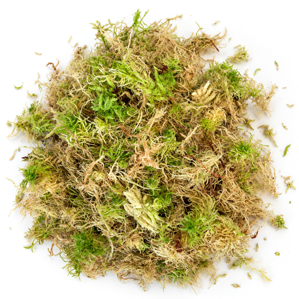 Terrascape Live Sphagnum 2