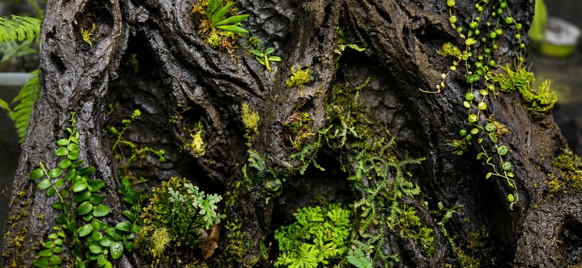 Terrarium achterwand maken