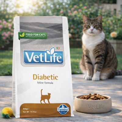 Vet Life Cat Diabetic