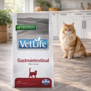 Vet Life Cat Gastrointestinal 1