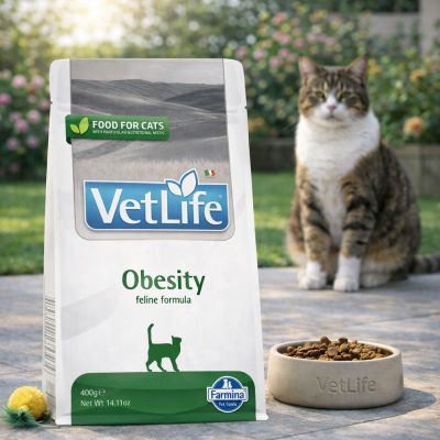 Vet Life Cat Obesity