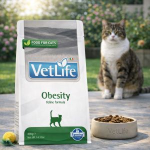 Vet Life Cat Obesity