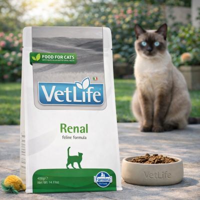 Vet Life Cat Renal