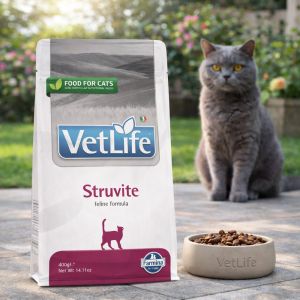 Vet Life Cat Struvite