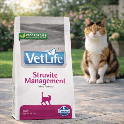 Vet Life Cat Struvite Management